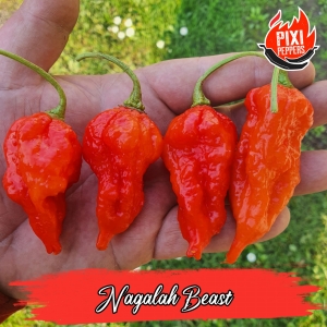 Nagalah Beast