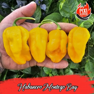 Habanero Montego Bay