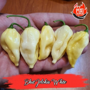 Bhut Jolokia White
